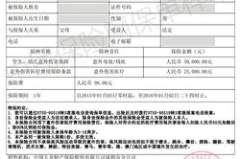 平安保险查询