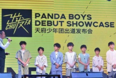 组合娱乐公司,打造多元化娱乐生态的领军者