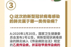甲类传染病和乙类传染病的区别,甲乙类传染病分类与管理差异解析