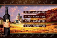 葡萄酒招商会ppt,探寻品质与机遇的交汇点
