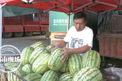 天天吃瓜网,天天吃瓜网带你领略明星幕后故事