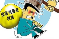 消费者维权,维权途径与法律指南