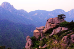 蒙山旅游,蒙山深度游攻略