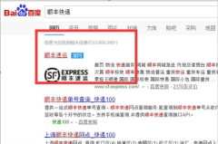 顺风 快递单号查询,轻松掌握包裹物流动态，享受便捷物流服务