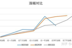 基金202007,稳健成长，业绩回顾与展望