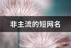 个性另类网名,探索独特个性网名的魅力世界