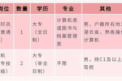 湖北省部队文职2025年招聘,军地融合，人才强军新篇章