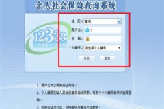 个人查询社保,全方位查询指南”