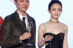 赵丽颖冯绍峰婚变,赵丽颖冯绍峰婚变背后的真相与反思